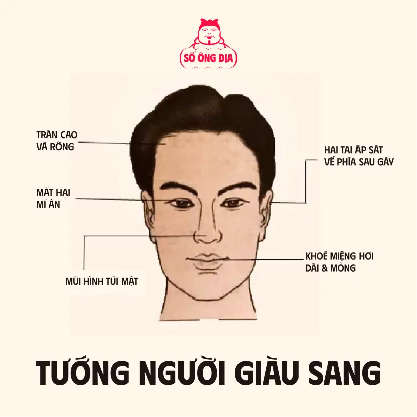 Tướng người giàu sang trông thế nào?